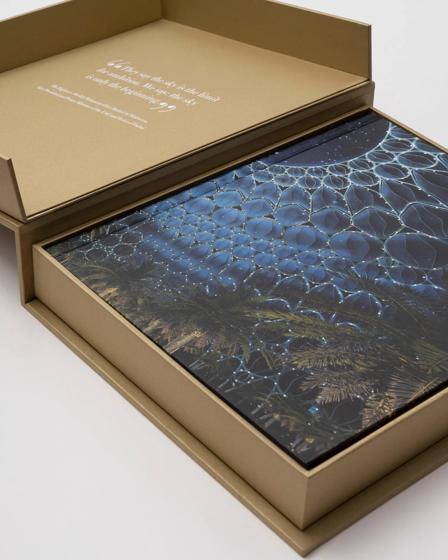 Assouline Architectonisch Ontwerp^Expo 2020 Dubai: De Definitieve Editie