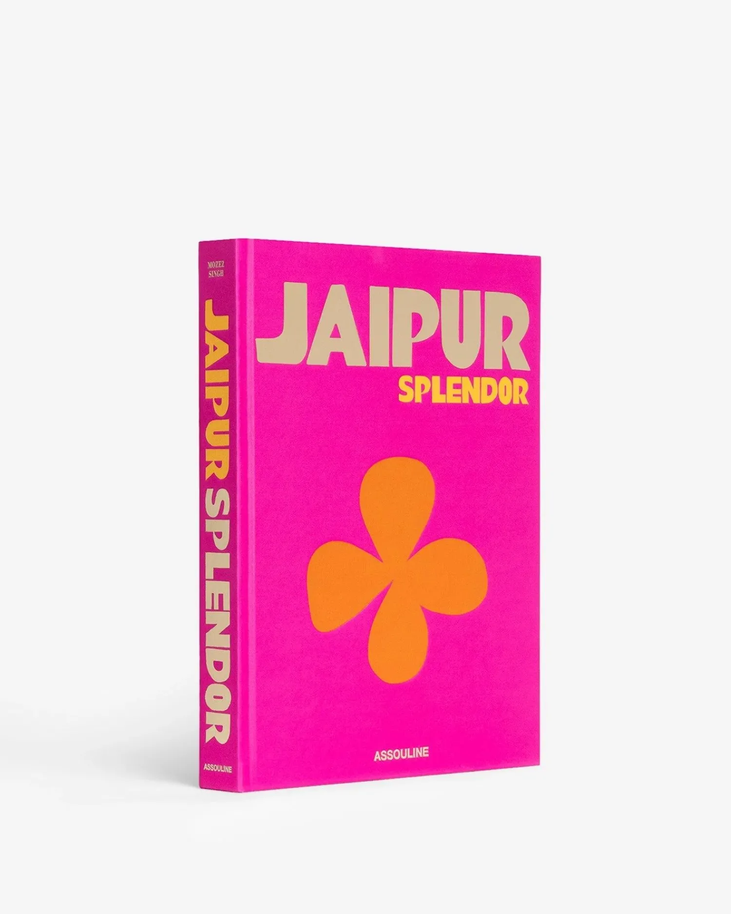 Assouline Reis^Jaipur Pracht