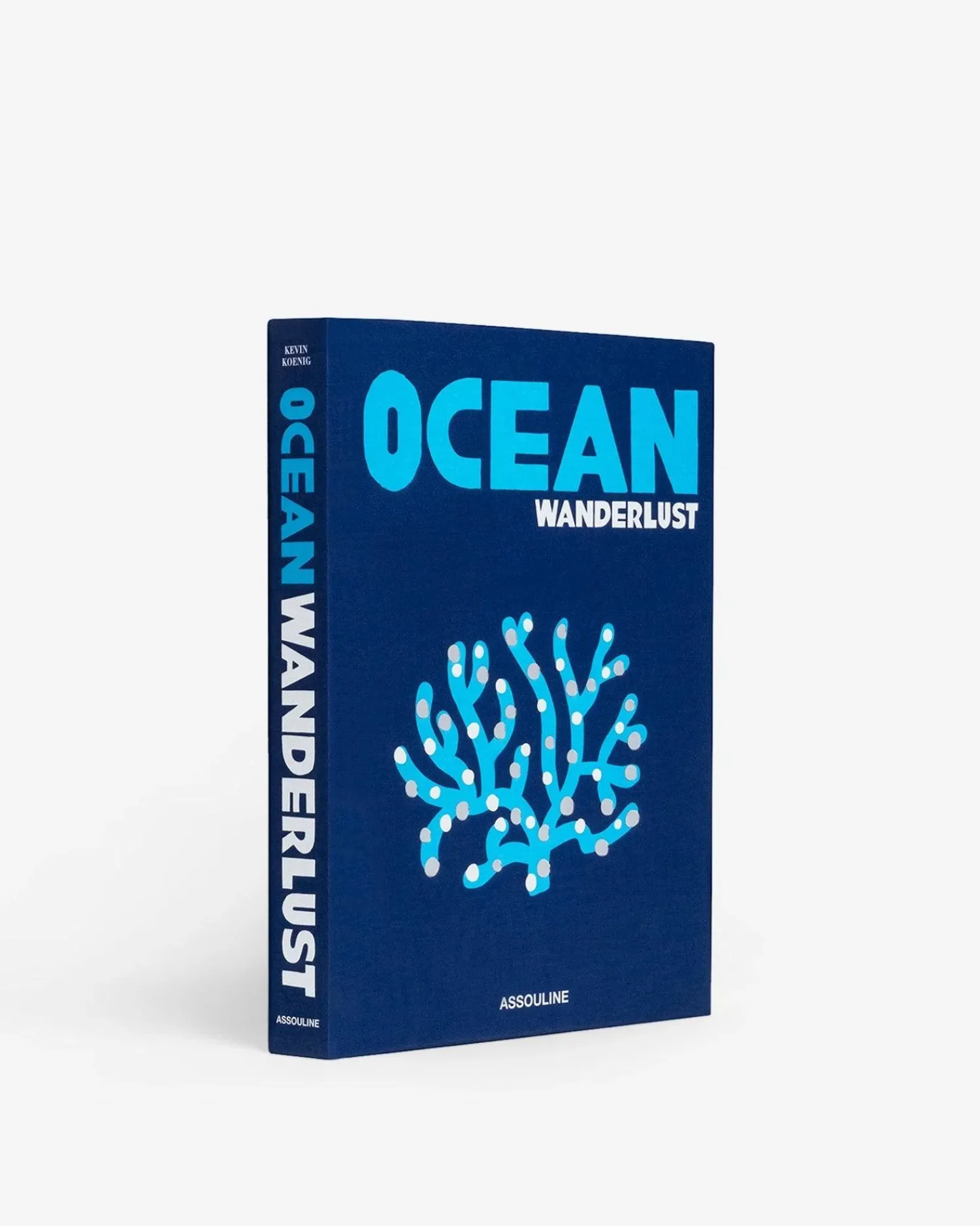 Assouline Reis^Oceaan Reislust