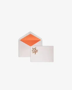 Assouline Briefpapier^Reis Vanuit Huis Briefpapier