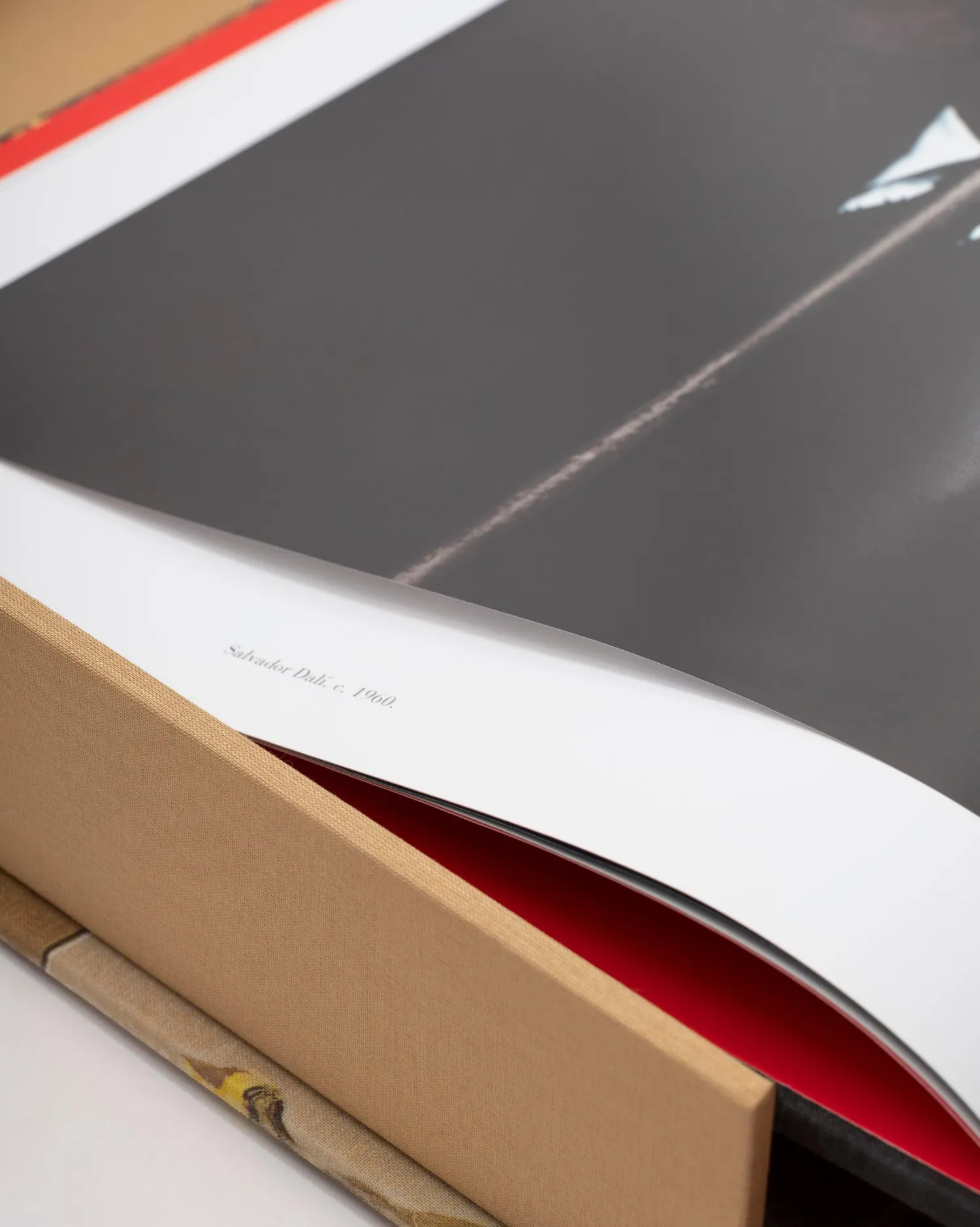 Assouline Kunst^Salvador Dali: De Onmogelijke Collectie