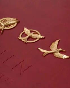 Assouline Film En Televisie^Tim Palen: Foto'S Van The Hunger Games (Ultieme Editie)