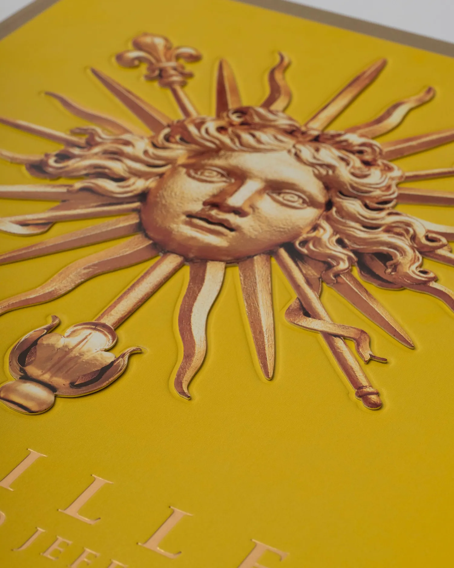 Assouline Kunst^Versailles: Van Lodewijk Xiv Tot Jeff Koons (Speciale Editie)
